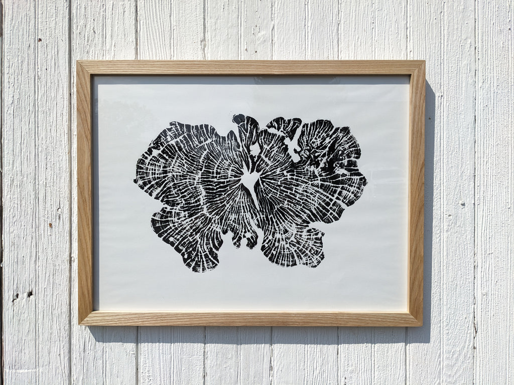 Framed Tree Ring Print