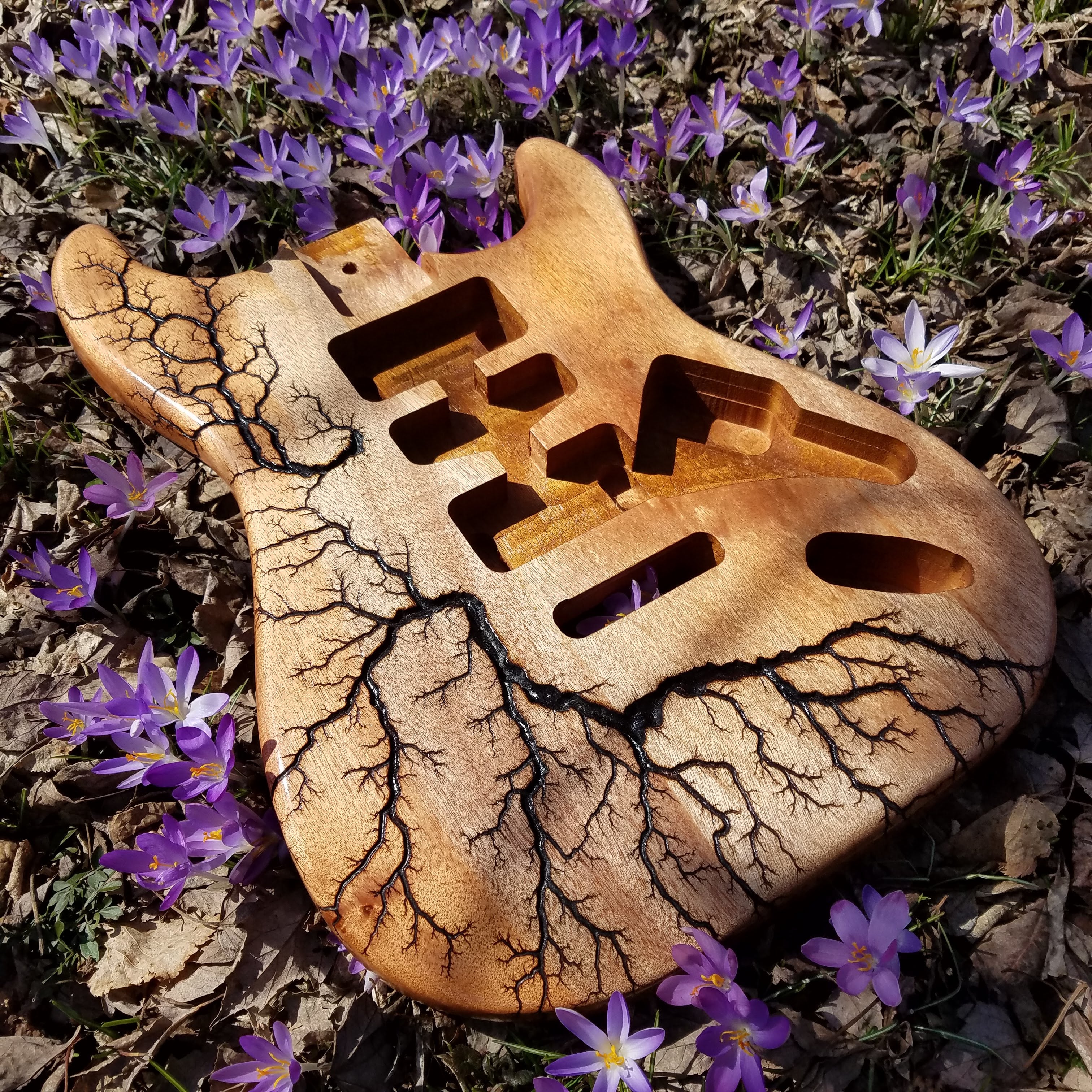 Fractal-Burned Guitar Body (Custom Order)